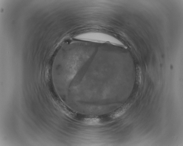 X0000081460266200701261945