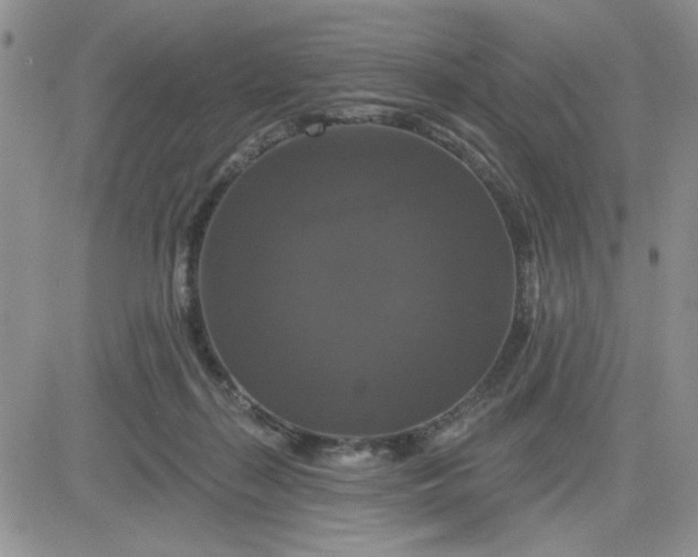 X0000081460267200701261945