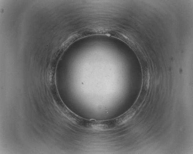 X0000081460268200701261945