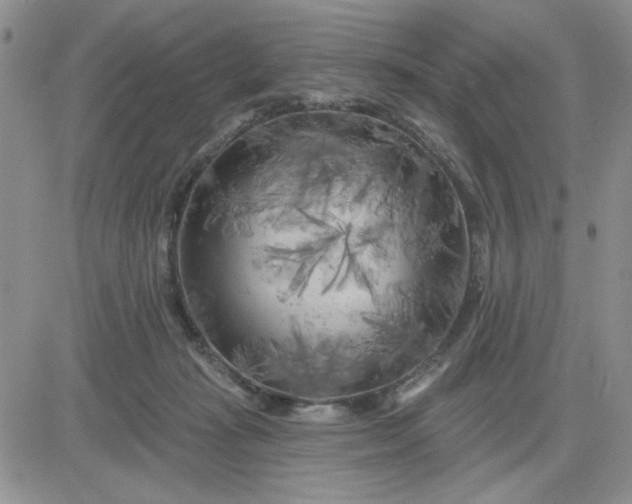 X0000081460269200701261945