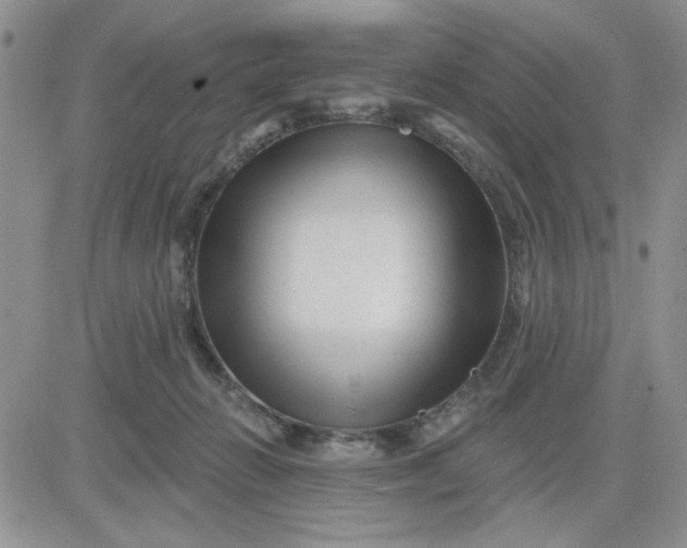 X0000081460270200701261945