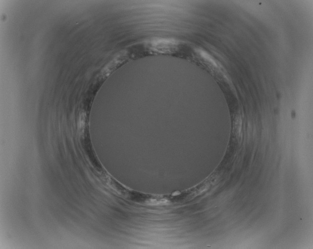 X0000081460271200701261945