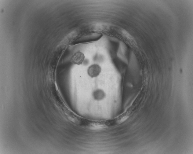 X0000081460272200701261945