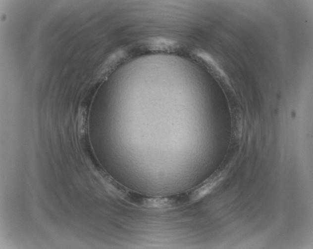 X0000081460273200701261945