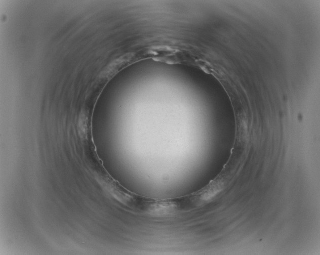 X0000081460274200701261945