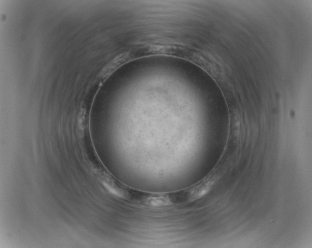 X0000081460275200701261945