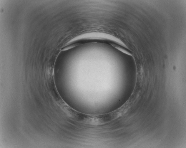 X0000081460276200701261945