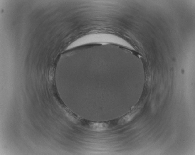 X0000081460277200701261945