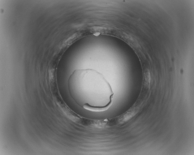 X0000081460278200701261945