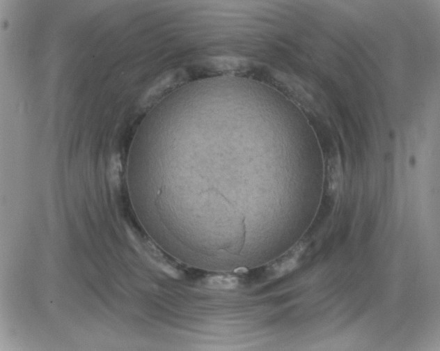 X0000081460279200701261945