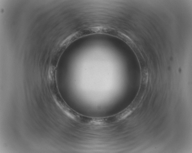 X0000081460280200701261945