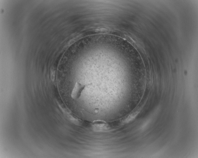 X0000081460281200701261945