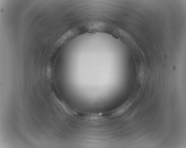 X0000081460282200701261945