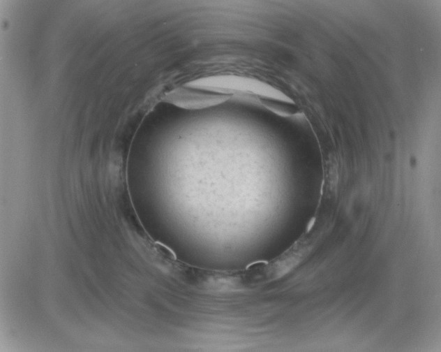 X0000081460283200701261945