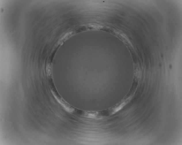 X0000081460285200701261945