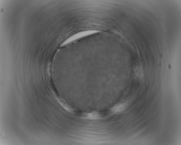 X0000081460286200701261945