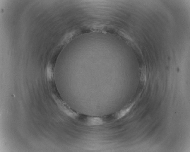 X0000081460287200701261945