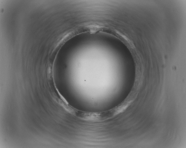 X0000081460288200701261945