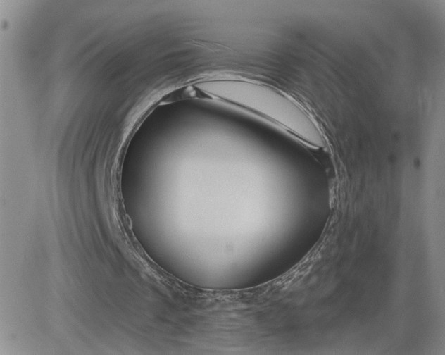 X0000081460289200701261945