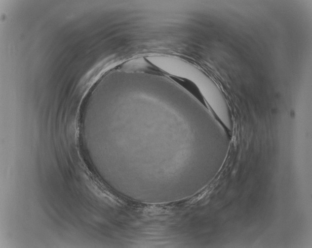 X0000081460290200701261945