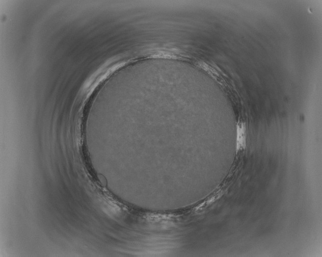 X0000081460291200701261945