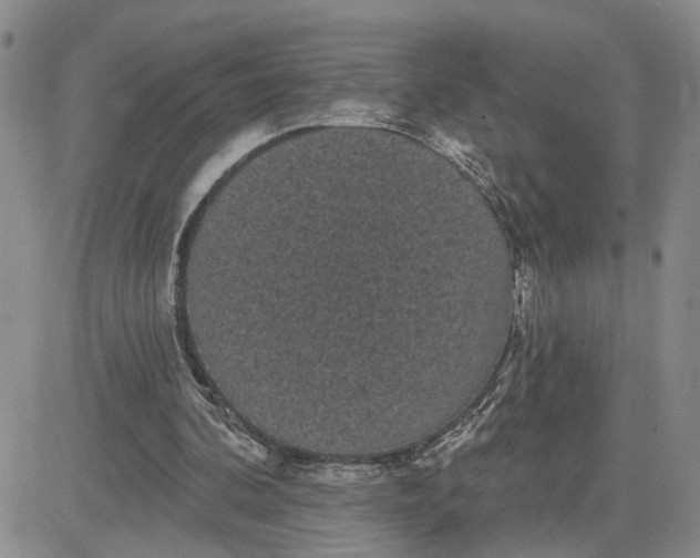 X0000081460292200701261945