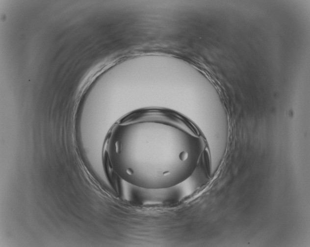 X0000081460293200701261945