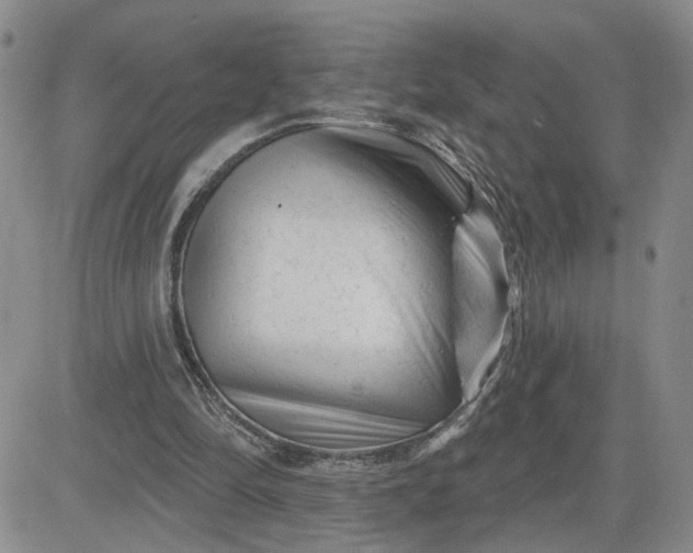 X0000081460294200701261945