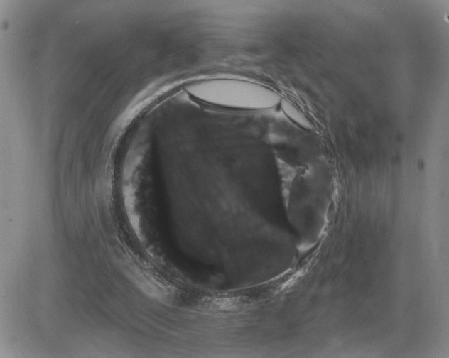 X0000081460295200701261945