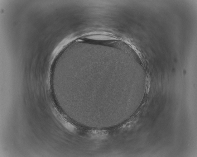 X0000081460296200701261945