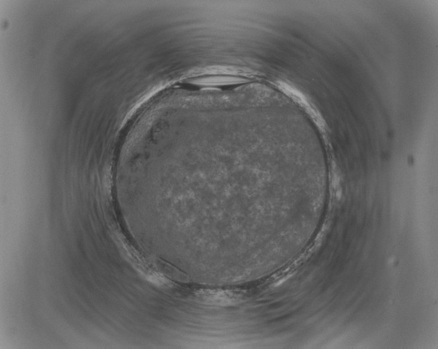 X0000081460297200701261945