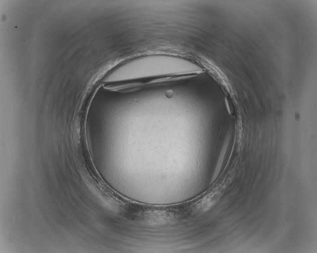 X0000081460298200701261945