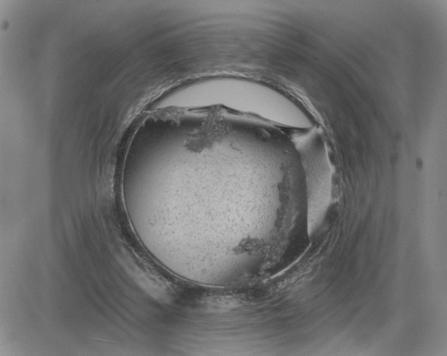 X0000081460299200701261945