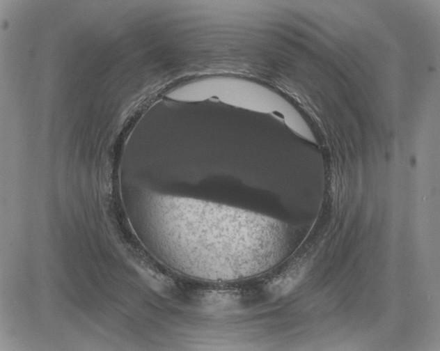 X0000081460303200701261944