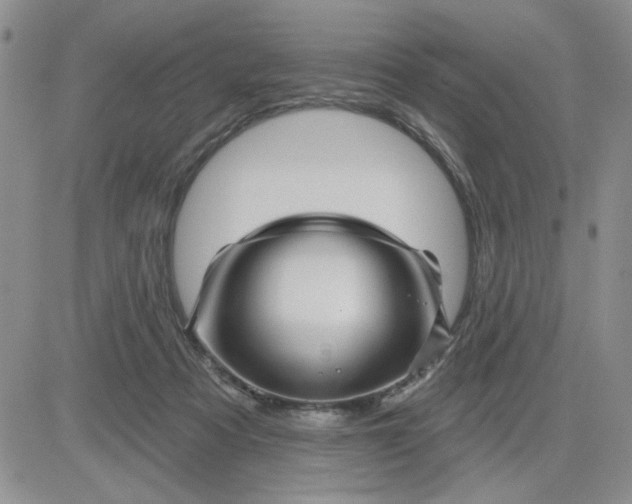 X0000081460313200701261944