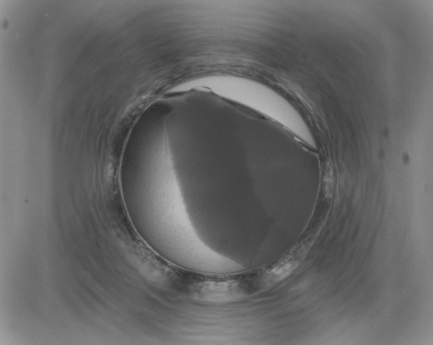 X0000081460314200701261944