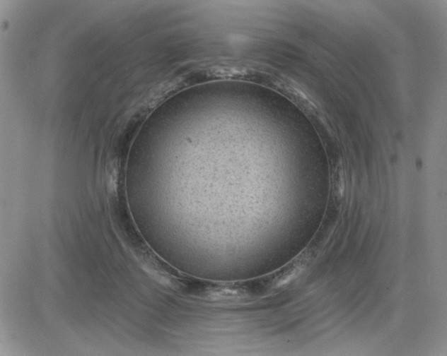 X0000081460315200701261944