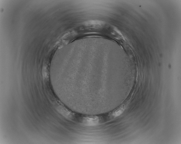 X0000081460317200701261944