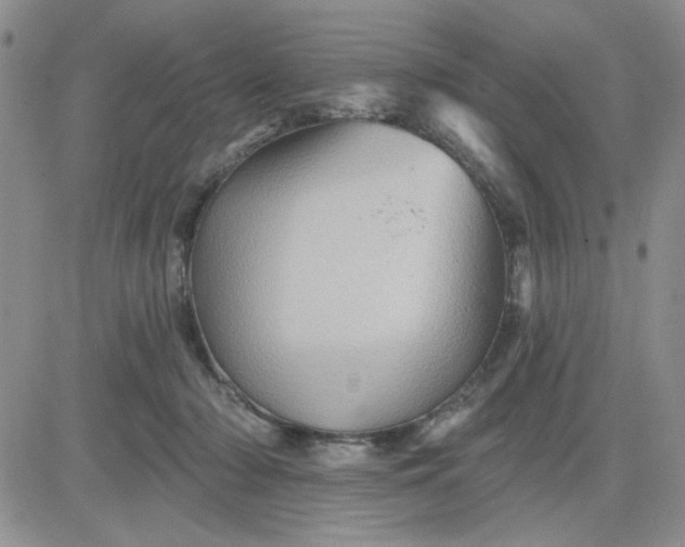 X0000081460318200701261944
