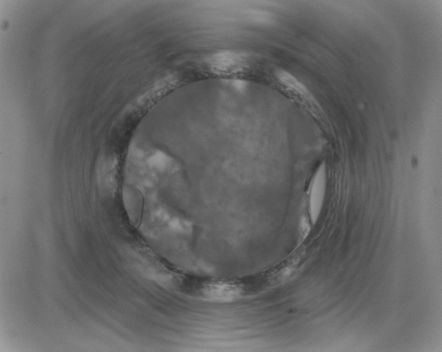 X0000081460319200701261944