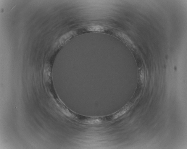 X0000081460322200701261944