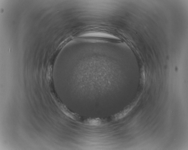 X0000081460325200701261944