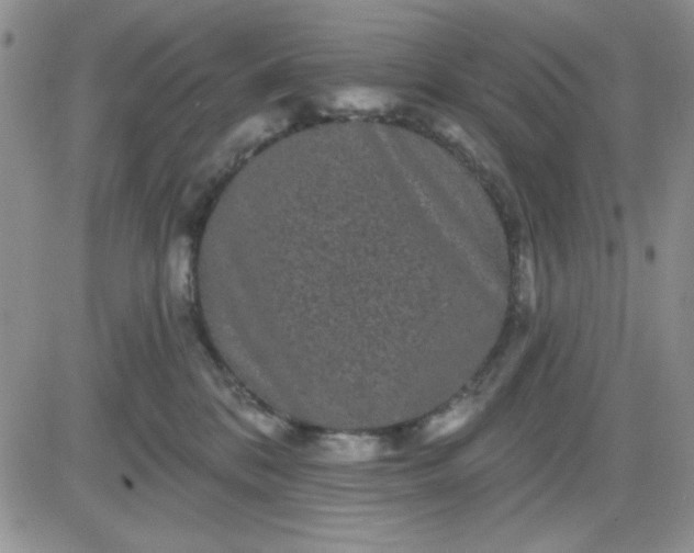 X0000081460328200701261944