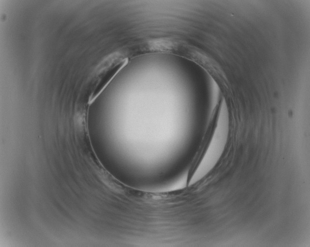 X0000081460329200701261944