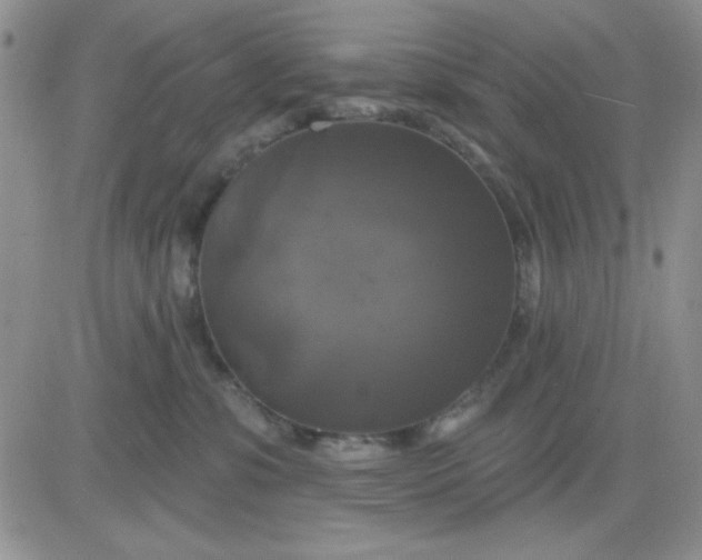 X0000081460331200701261944