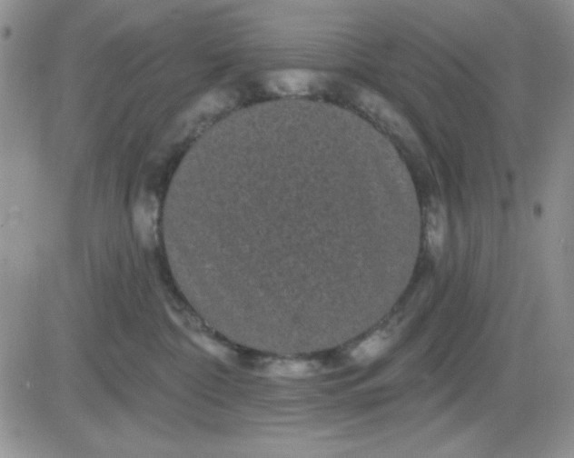 X0000081460332200701261944