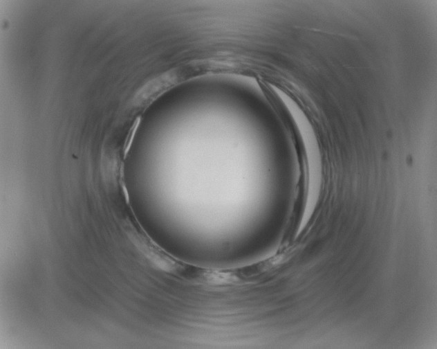 X0000081460333200701261944