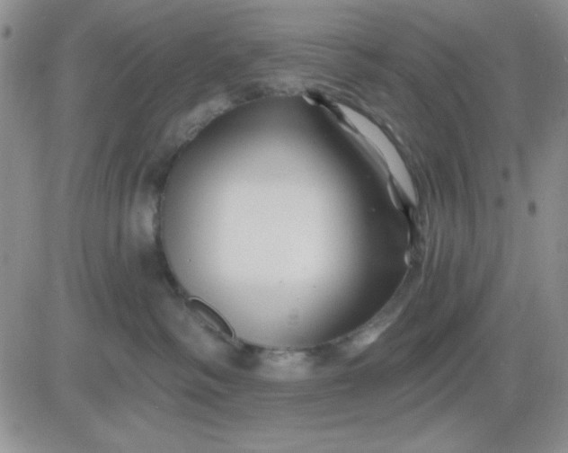 X0000081460334200701261944