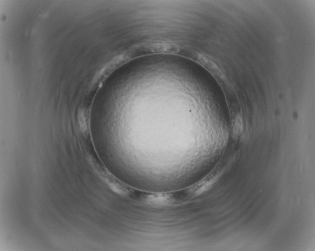 X0000081460335200701261944