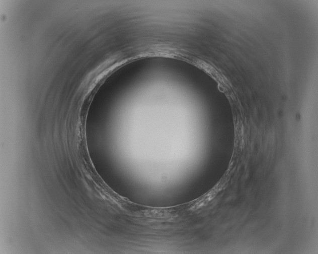 X0000081460338200701261943